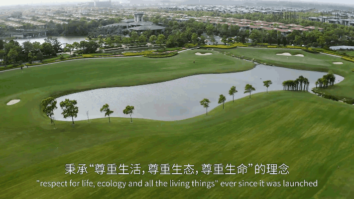 东滩海上明月楼盘专业讲解！！！